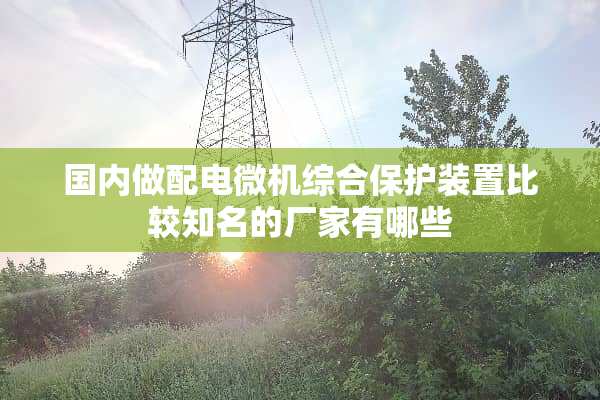 国内做配电微机综合保护装置比较知名的厂家有哪些