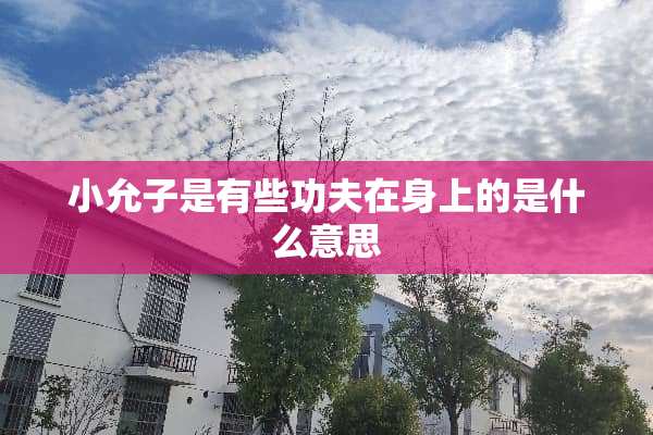 小允子是有些功夫在身上的是什么意思