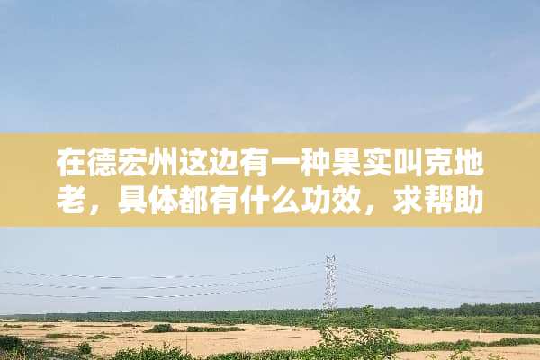在德宏州这边有一种果实叫克地老，具体都有什么功效，求帮助。