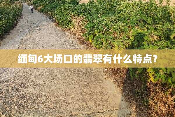 缅甸6大场口的翡翠有什么特点？