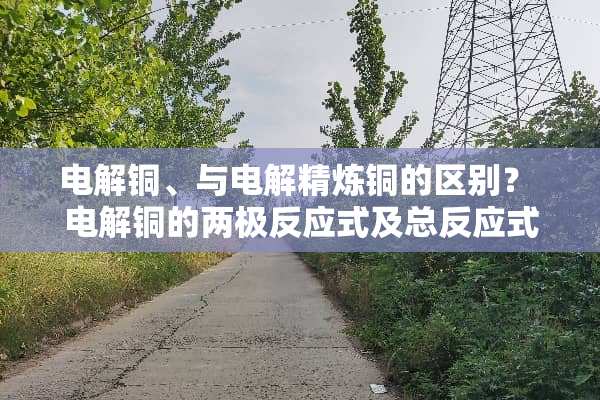 电解铜、与电解精炼铜的区别？ 电解铜的两极反应式及总反应式