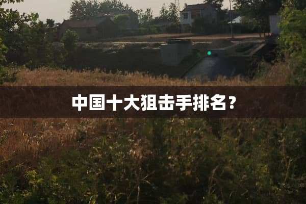 中国十大**手排名？