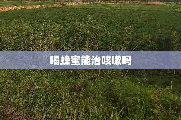 喝蜂蜜能治咳嗽吗
