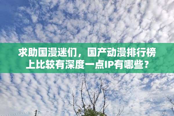 求助国漫迷们，国产动漫排行榜上比较有深度一点IP有哪些？