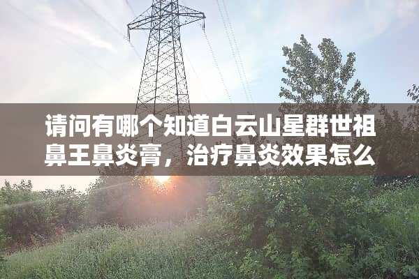 请问有哪个知道白云山星群世祖鼻王鼻炎膏，治疗鼻炎效果怎么样？