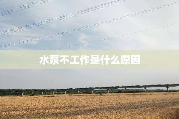 水泵不工作是什么原因