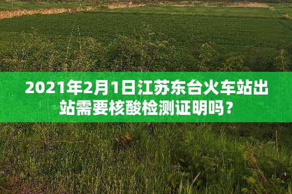 2021年2月1日江苏东台火车站出站需要核酸检测证明吗？
