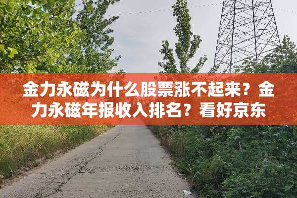 金力永磁为什么股票涨不起来？金力永磁年报收入排名？看好京东买了金力永磁？