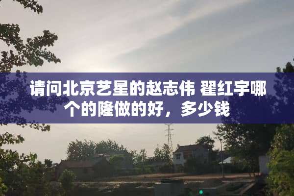 请问北京艺星的赵志伟 翟红宇哪个的隆做的好，多少钱