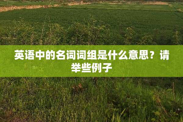 英语中的名词词组是什么意思？请举些例子