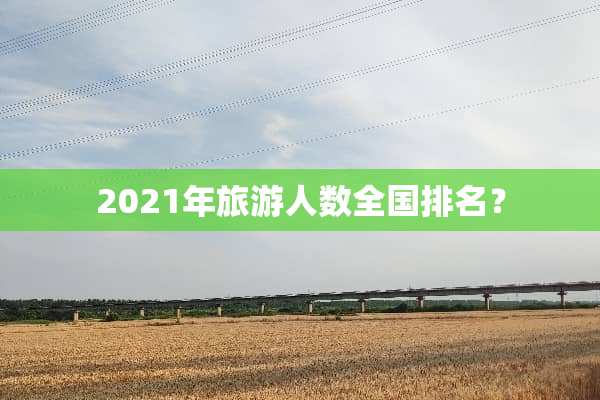 2021年旅游人数全国排名？