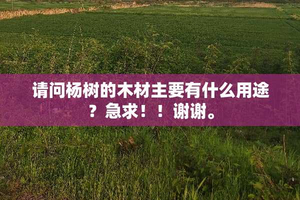 请问杨树的木材主要有什么用途？急求！！谢谢。