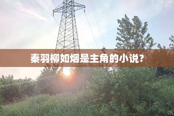 秦羽柳如烟是主角的小说？