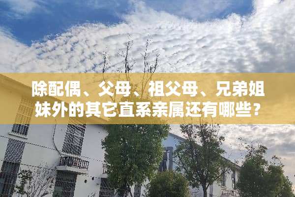 除配偶、父母、祖父母、兄弟姐妹外的其它直系亲属还有哪些？