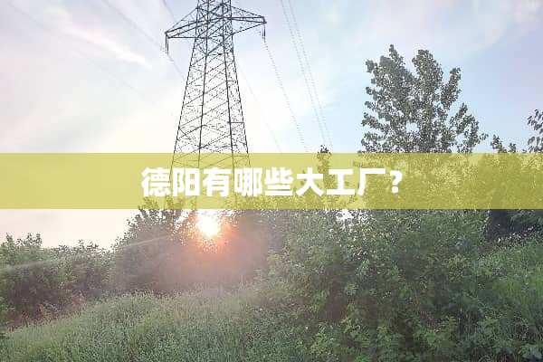 德阳有哪些大工厂？