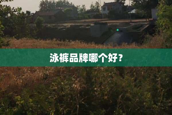 泳裤品牌哪个好？