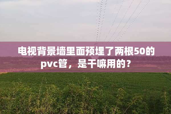 电视背景墙里面预埋了两根50的pvc管，是干嘛用的？