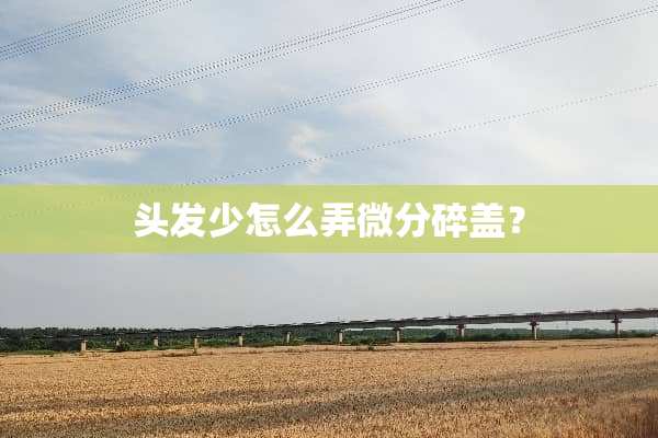 头发少怎么弄微分碎盖？