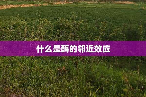 什么是酶的邻近效应