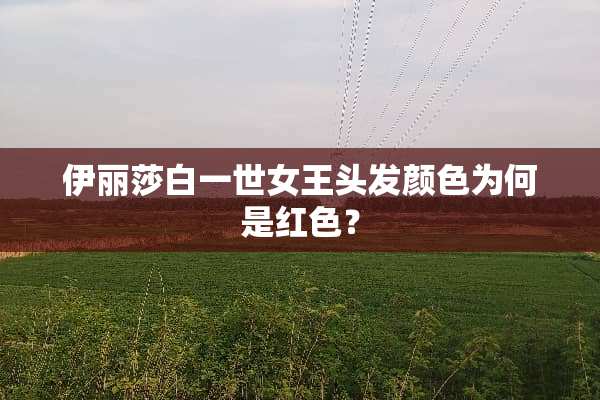 伊丽莎白一世女王头发颜色为何是红色？