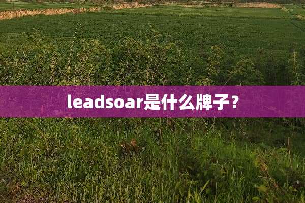leadsoar是什么牌子？