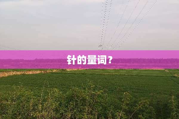 针的量词？