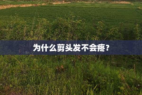 为什么剪头发不会疼？