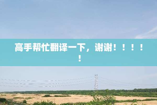 高手帮忙翻译一下，谢谢！！！！！