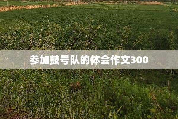 参加鼓号队的体会作文300