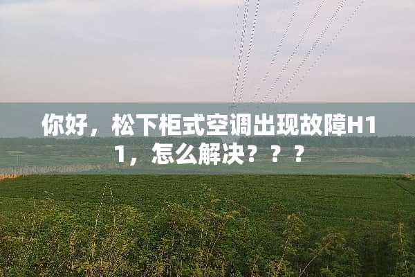 你好，松下柜式空调出现故障H11，怎么解决？？？