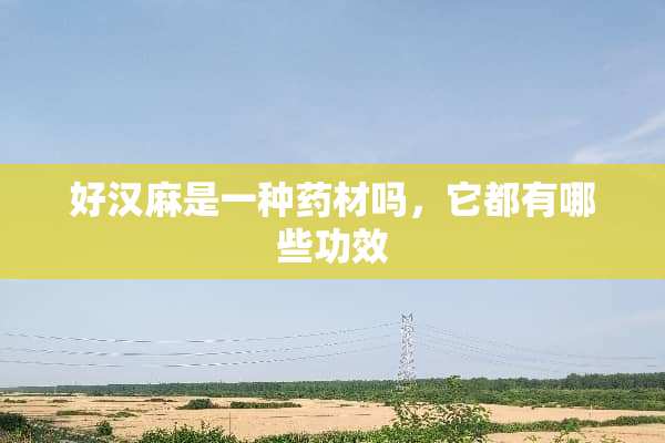好汉麻是一种药材吗，它都有哪些功效