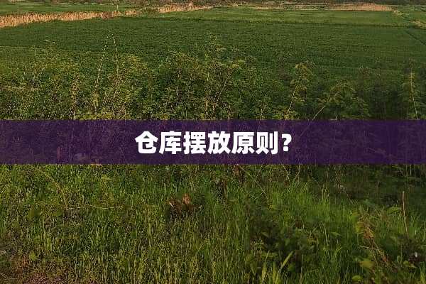 仓库摆放原则？