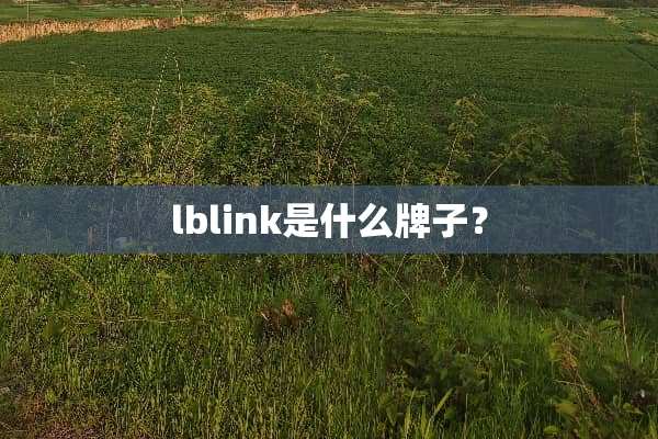lblink是什么牌子？