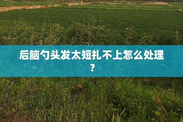 后脑勺头发太短扎不上怎么处理？