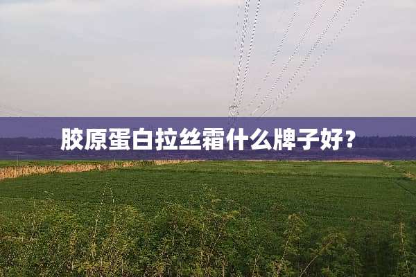 胶原蛋白拉丝霜什么牌子好？