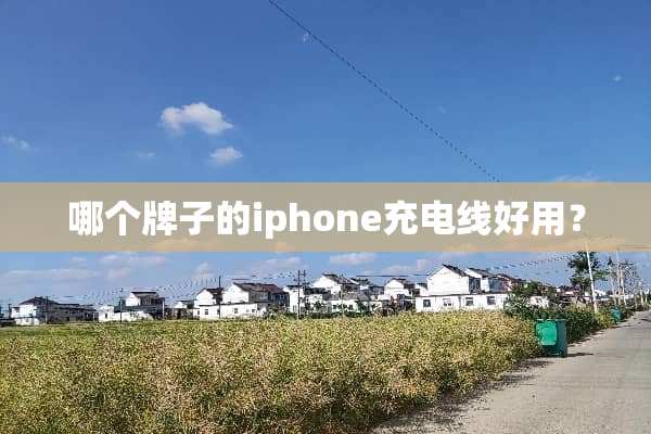 哪个牌子的iphone充电线好用？
