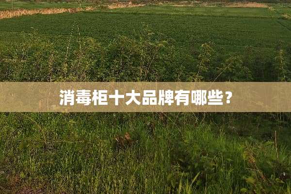 消毒柜十大品牌有哪些？