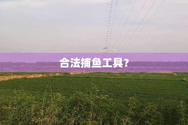 合法捕鱼工具？