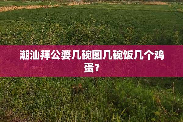 潮汕拜公婆几碗圆几碗饭几个鸡蛋？