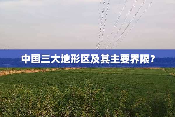 中国三大地形区及其主要界限？