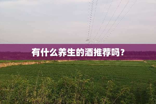 有什么养生的酒推荐吗？