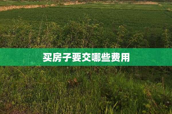 买房子要交哪些费用