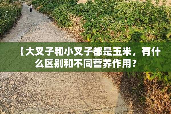 【大叉子和小叉子都是玉米，有什么区别和不同营养作用？