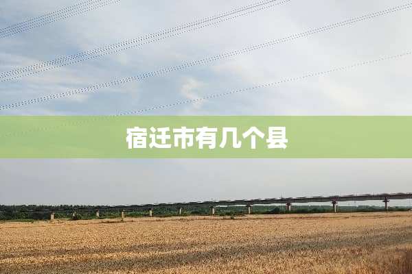 宿迁市有几个县
