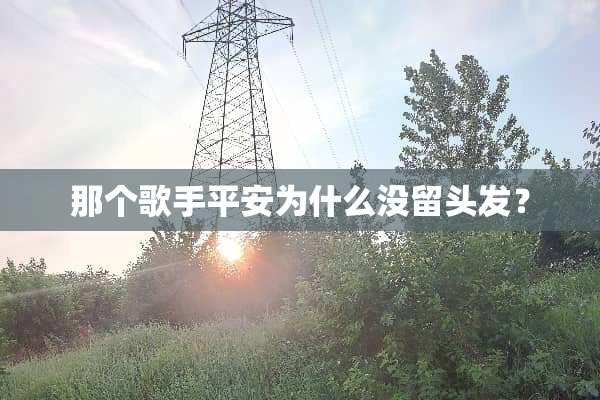 那个歌手平安为什么没留头发？