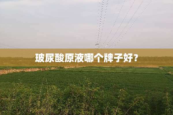 玻尿酸原液哪个牌子好？