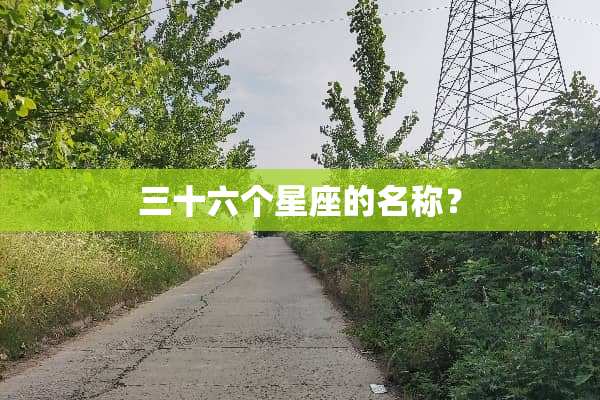三十六个星座的名称？
