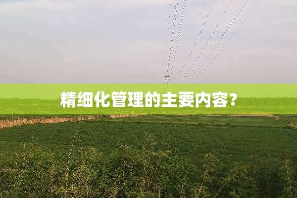 精细化管理的主要内容？