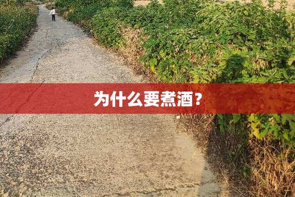 为什么要煮酒？