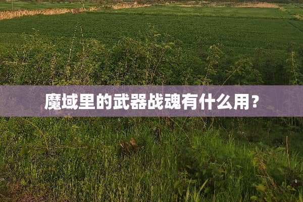 魔域里的**战魂有什么用？